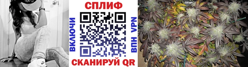 Конопля ГИДРОПОН  Озёрск 